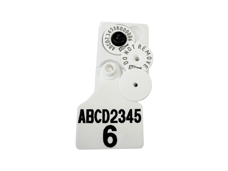Electronic Tag - NLIS Large + Button Combo Matching Management Set - Allflex Australia