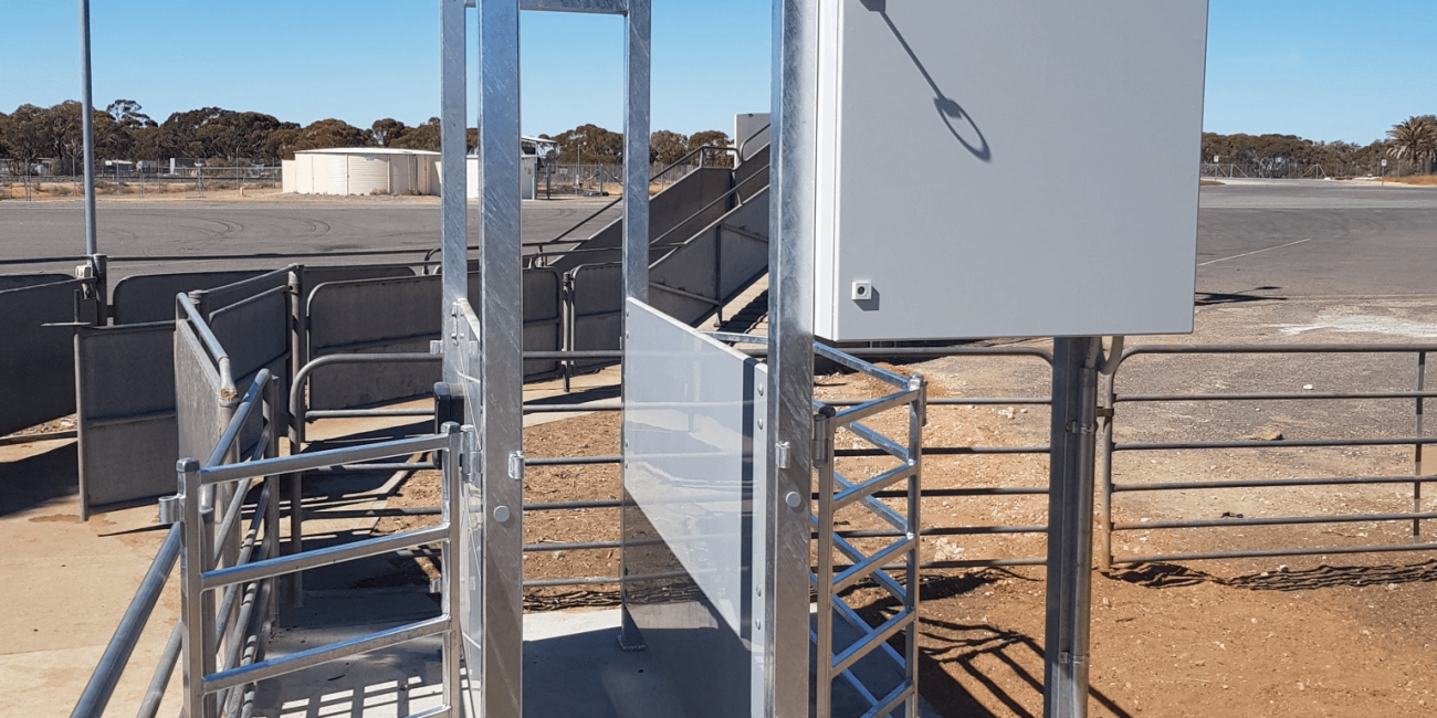 Single Walkthrough Reader for Sheep and Goats - Model NX-SWR - Allflex Australia