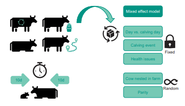 Study 2 - Cow behaviour predicts and monitors calving diseases