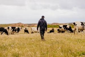 Whole-herd nutrition and well-being insights