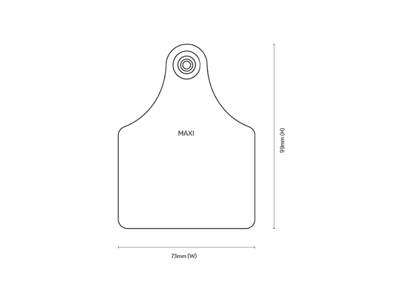 Visual Tag - Maxi Female dimensions diagram